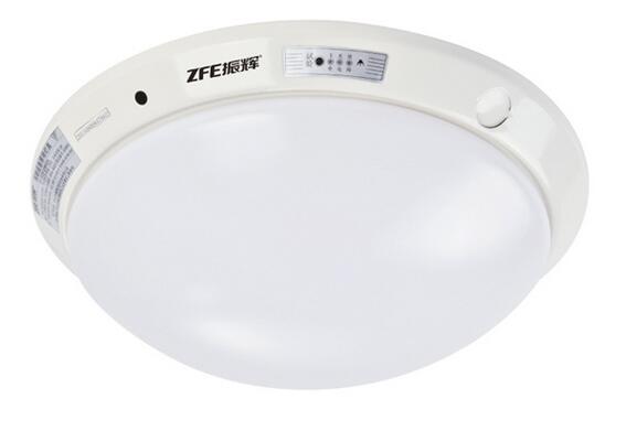 消防應(yīng)急照明燈具系列(吸頂燈) 消防應(yīng)急照明燈具系列(吸頂燈)